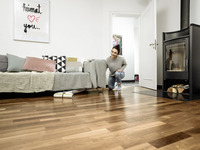 Living room with wooden floor, modern fireplace, sofa with cushions, Kärcher floor cleaner, and artwork on the wall.