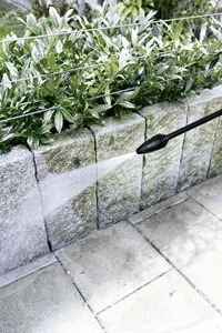 Kärcher high-pressure cleaner spraying water on a stone wall beside green plants outdoors.