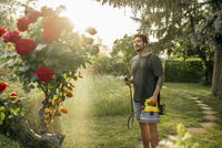 Man watering red roses in a garden using a Kärcher pressure sprayer, with sunlight filtering through trees in the background.