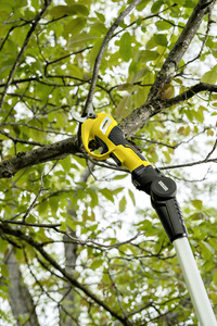 Kärcher electric pruner cutting a tree branch outdoors, surrounded by green leaves.