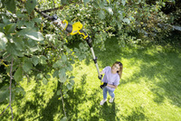 Person using a Kärcher branch cutter to trim tree branches in a sunny garden.