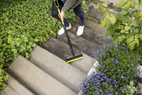 Person cleaning outdoor concrete steps with a Kärcher broom, surrounded by green ivy and purple flowers.