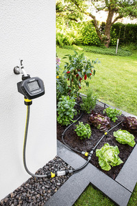 Kärcher garden irrigation system connected to a wall tap, watering a vegetable patch with lettuce and peppers in a sunny garden.