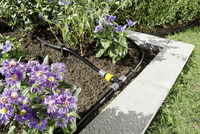 Garden with purple flowers and Kärcher drip irrigation system on soil, bordered by stone and grass.