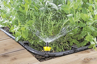 Kärcher Rain System watering mint and rosemary plants next to wooden decking.