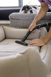 Person vacuuming a pet bed with a Kärcher vacuum cleaner, while a dog rests on a nearby sofa indoors.