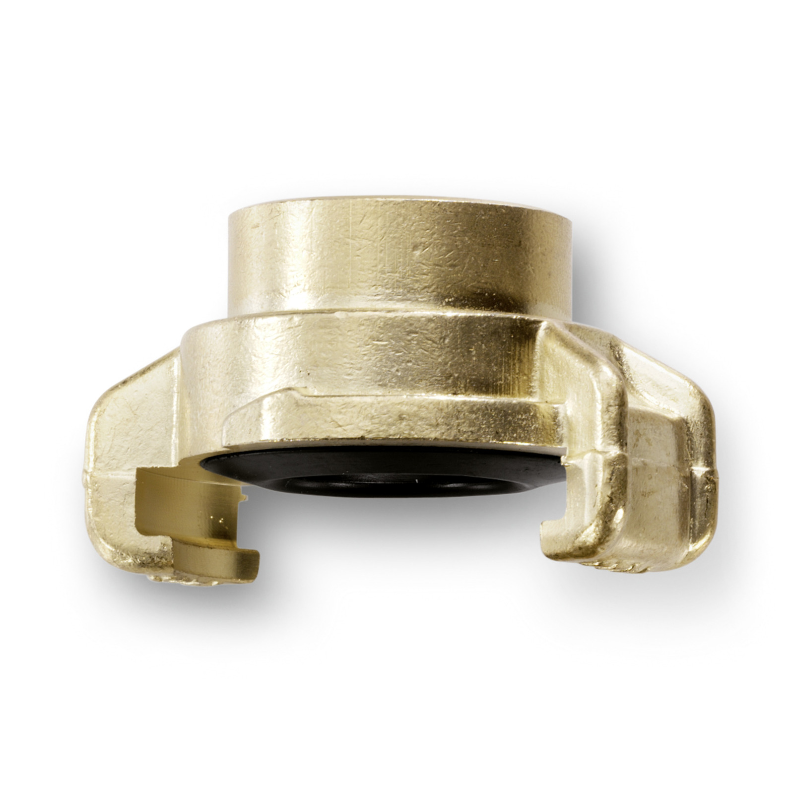 Brass hose coupling with a black rubber seal, viewed from above on a white background.